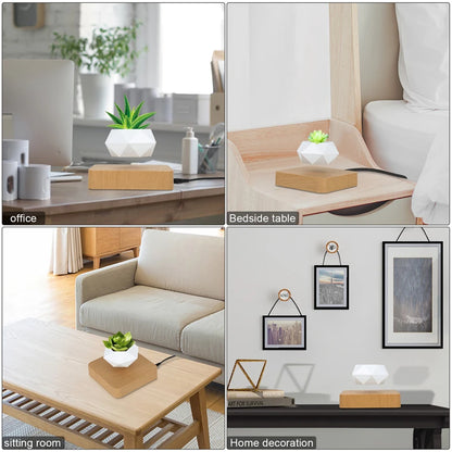 Magnetic Levitating Floating Planter — 360° Rotating Bonsai Pot, Desk & Home Decor