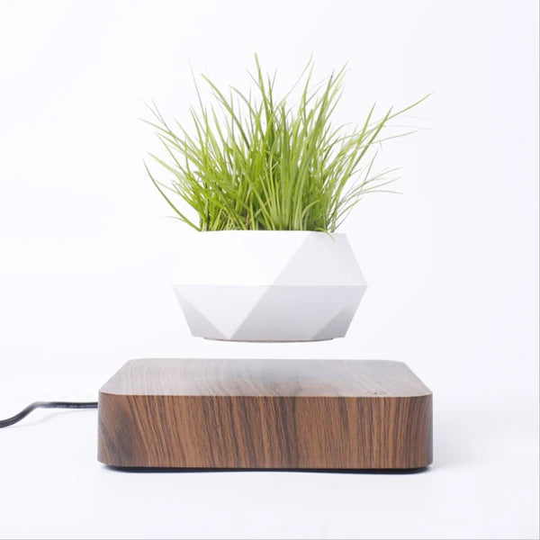 Magnetic Levitating Floating Planter — 360° Rotating Bonsai Pot, Desk & Home Decor