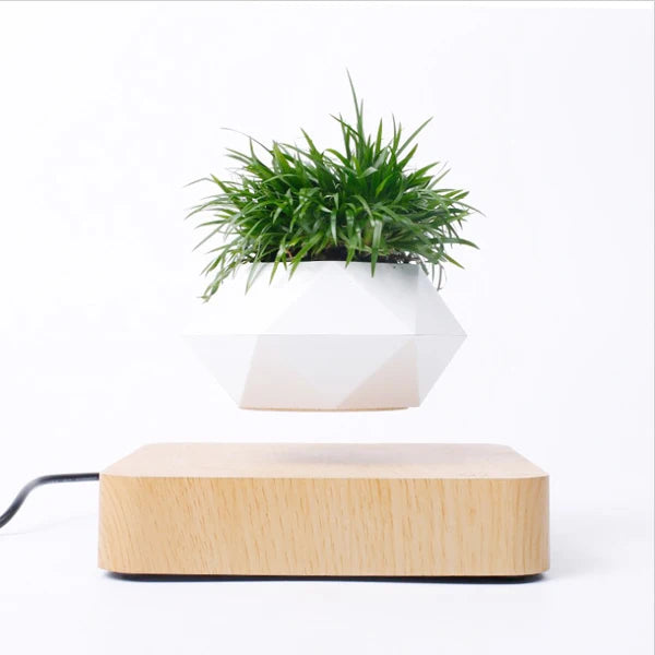 Magnetic Levitating Floating Planter — 360° Rotating Bonsai Pot, Desk & Home Decor