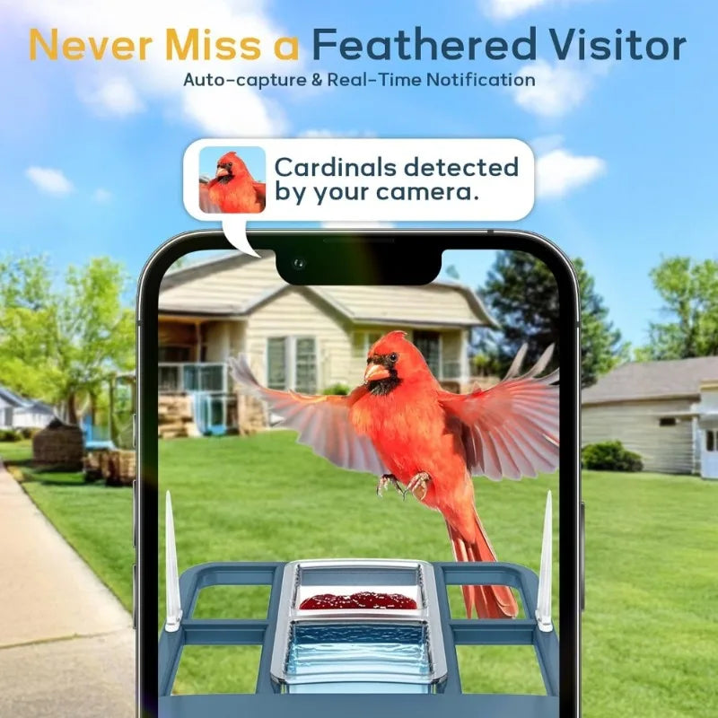 Smart Solar Bird Feeder Camera with AI Bird Recognition & HD Night Vision