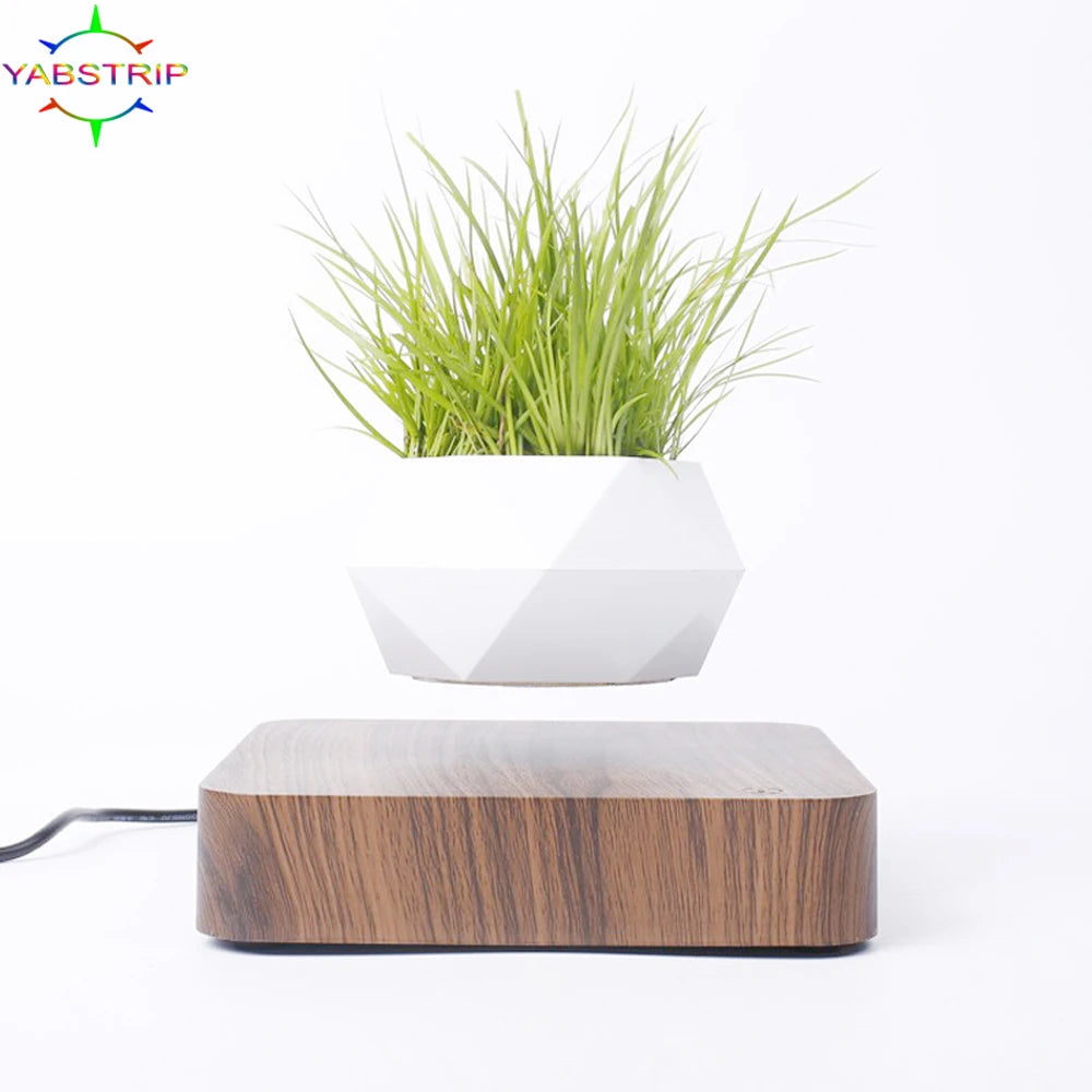 Magnetic Levitating Floating Planter — 360° Rotating Bonsai Pot, Desk & Home Decor