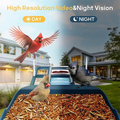 Smart Solar Bird Feeder Camera with AI Bird Recognition & HD Night Vision
