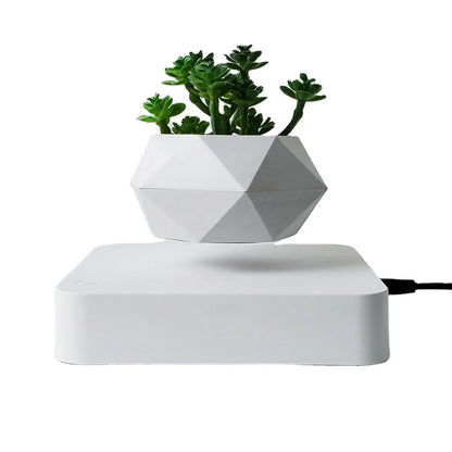 Magnetic Levitating Floating Planter — 360° Rotating Bonsai Pot, Desk & Home Decor