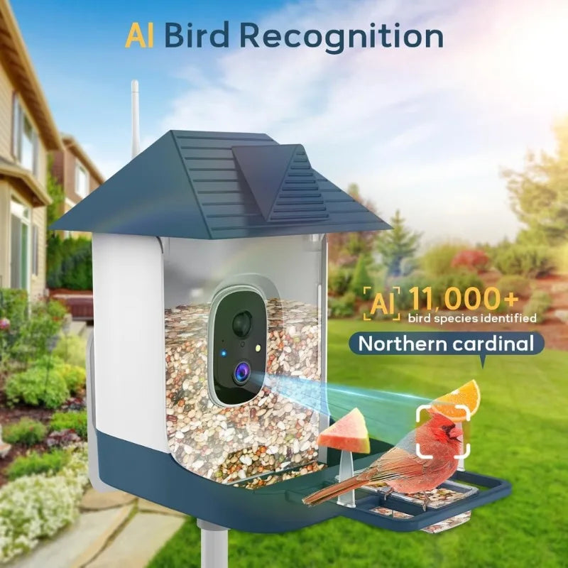 Smart Solar Bird Feeder Camera with AI Bird Recognition & HD Night Vision
