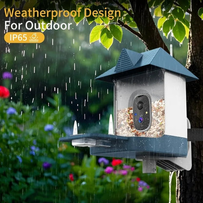 Smart Solar Bird Feeder Camera with AI Bird Recognition & HD Night Vision