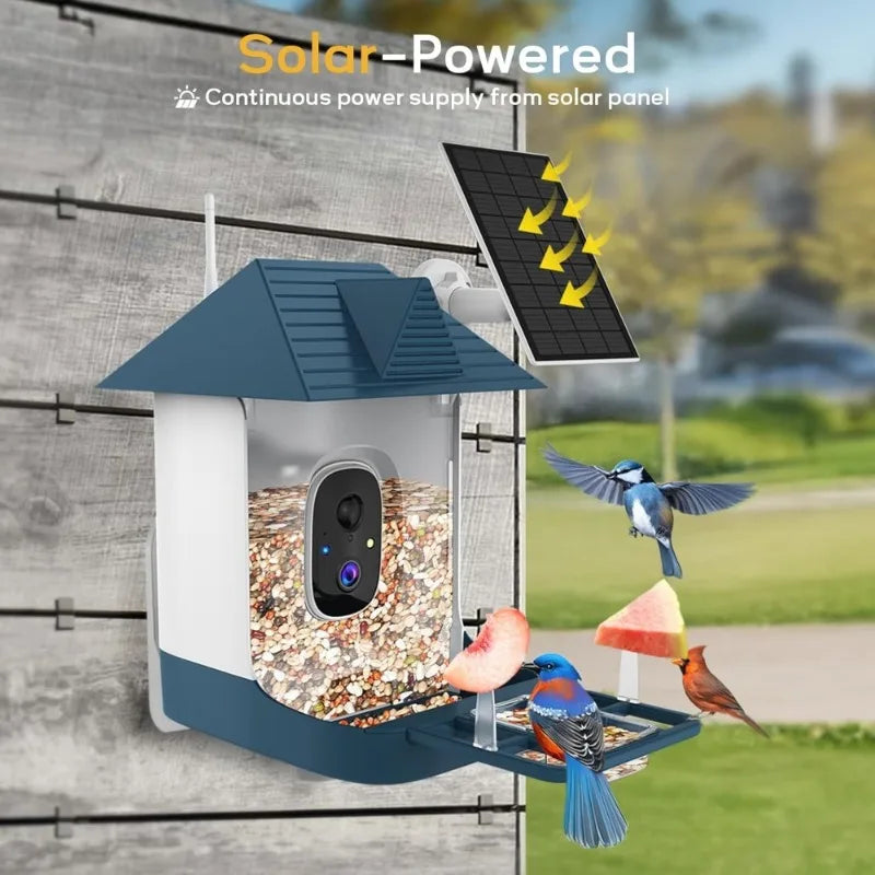 Smart Solar Bird Feeder Camera with AI Bird Recognition & HD Night Vision